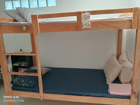 bunk bed