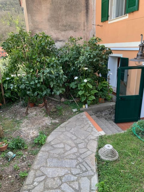 Garden, Garden view