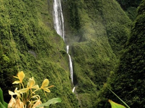 La villa de la Rivière du mât House in Réunion