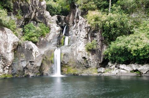 La villa de la Rivière du mât House in Réunion