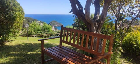 Garden, Garden view, Sea view