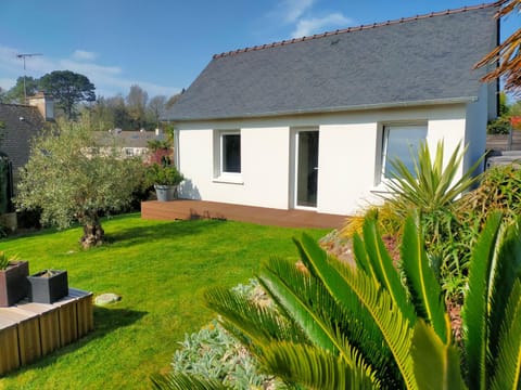 Property building, Garden view