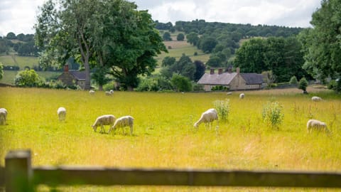 The Coach House - Lea Haus in Amber Valley