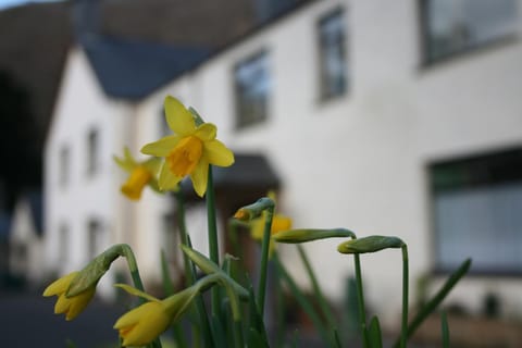 Padarn Apartment at Glanybala Holidays Apartment in Llanberis