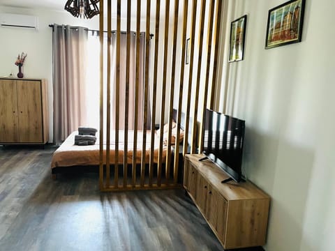 Apartament Studio BiAn Apartment in Timisoara