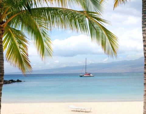 ❤PiH❤ Aloha Joes Ohana Close to Beaches and Restaurants Haus in Mauna Lani