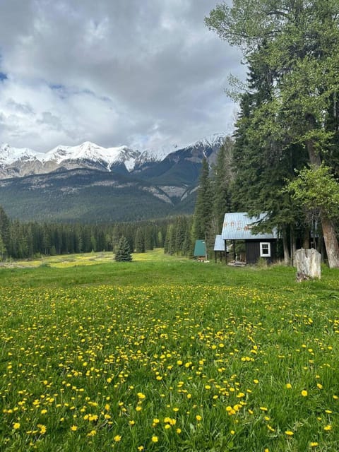 Beaverfoot Lodge Campground/ 
RV Resort in Columbia-Shuswap A