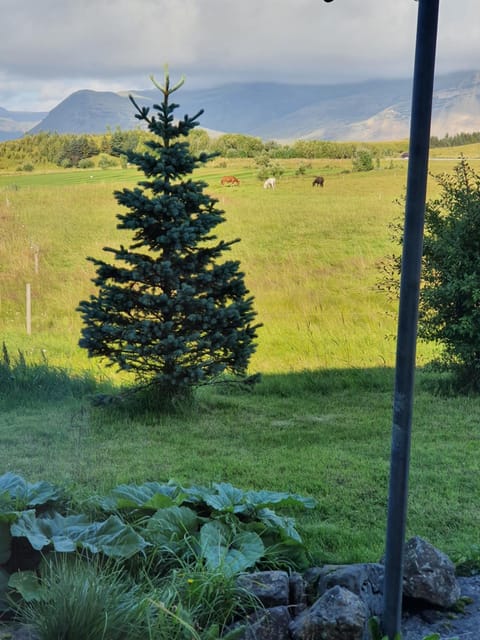 Natural landscape, Garden view, Mountain view