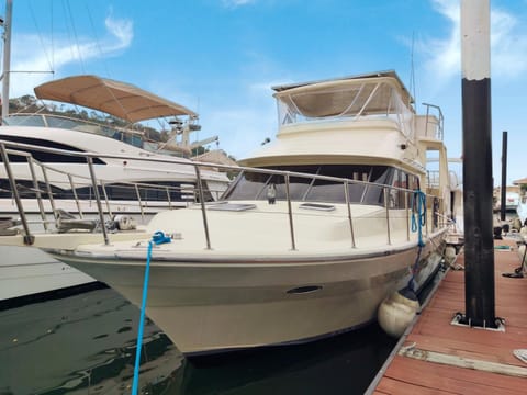 Amazing Vintage Yacht in the best area of Panama! Docked boat in Panama City, Panama