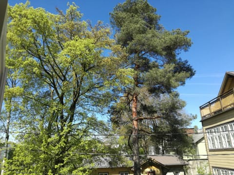 Spring, Quiet street view