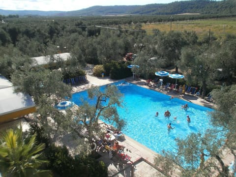 Day, Natural landscape, Pool view, Swimming pool, group of guests, sunbed