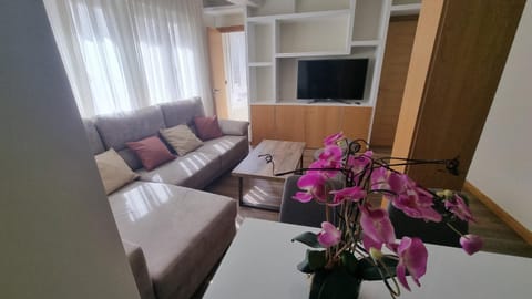 Communal lounge/ TV room, TV and multimedia, Living room