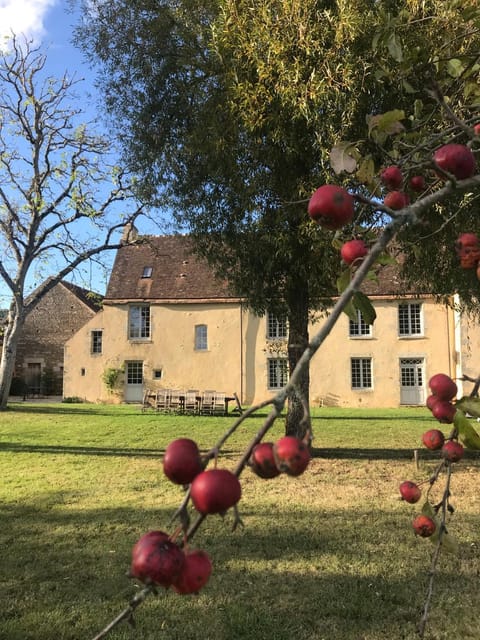 Property building, Garden, Autumn, Garden view