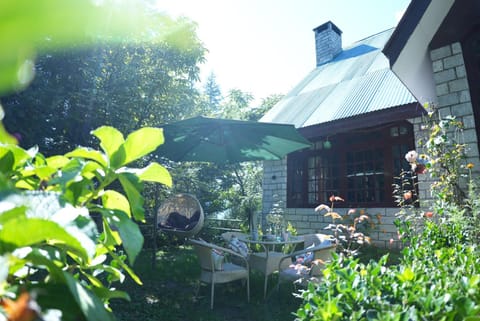 Property building, Garden view