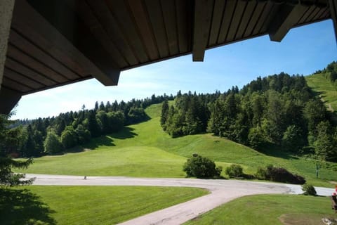 Hôtel Chalet Frère Joseph Hotel in Vosges