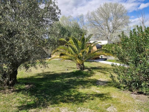 Garden, Garden view