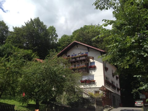 Vila Thomas Bed and Breakfast in Sinaia