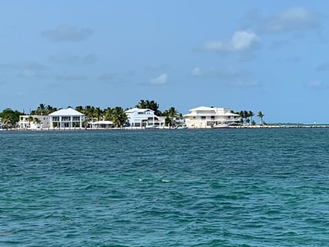 You will never want to leave Haus in Lower Matecumbe Key