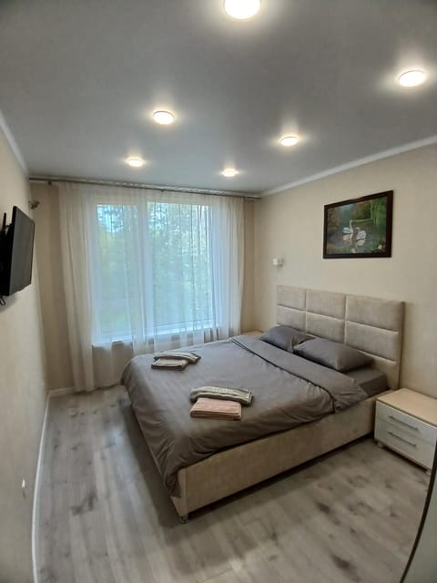 Уютная квартира Apartment in Chișinău