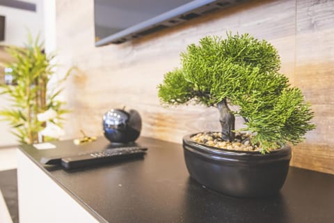 Mas Lac Blanc Terrace Sauna Parking Apartment in Orbey