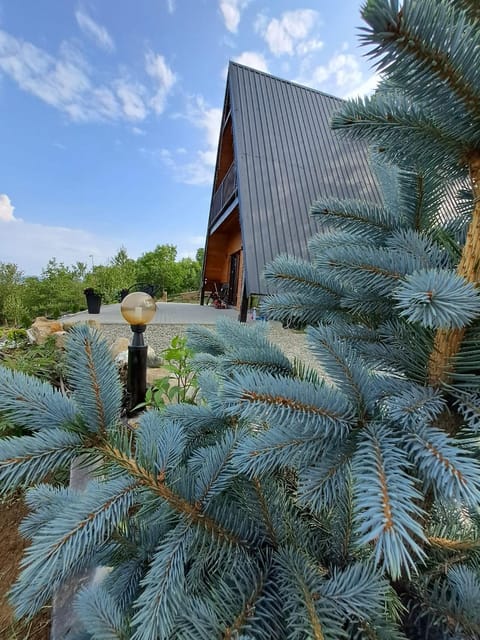 Day, Natural landscape, Garden view