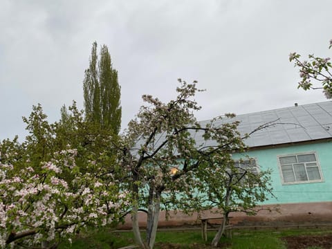 Saruu Guest House Bed and Breakfast in Almaty Region, Kazakhstan