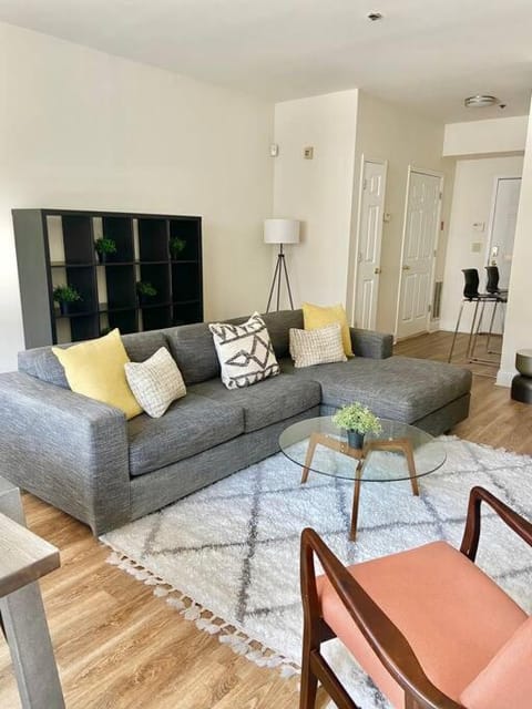 105 Awesome 2BX2B With West Elm Sofa Condo in Hoboken