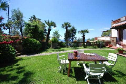 Day, Natural landscape, Garden, Dining area, Garden view