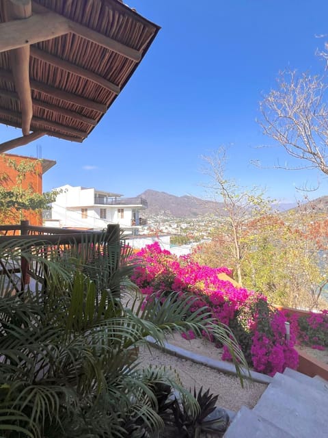 Garden, Balcony/Terrace