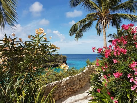 Garden, On site, Garden view, Sea view