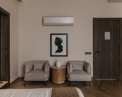 Seating area, Bedroom, air conditioner