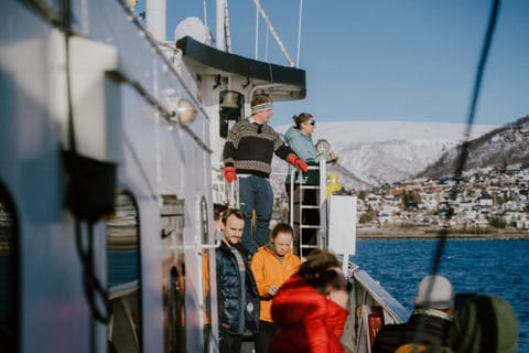 Mountain view, Sea view, group of guests