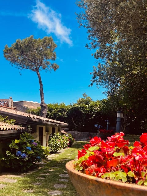 Day, Garden, Garden view