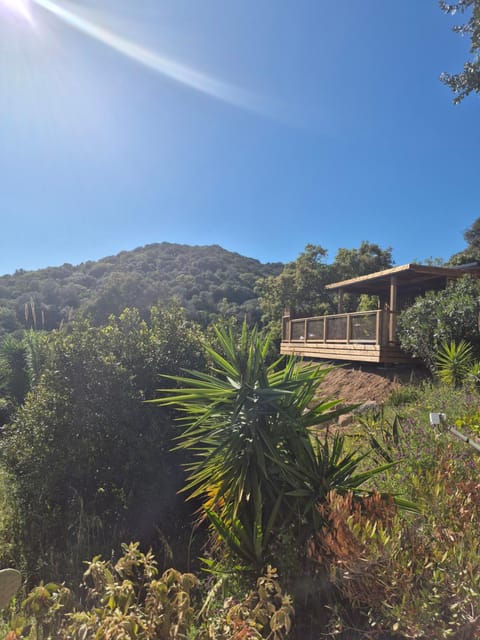 Natural landscape, Garden, Mountain view