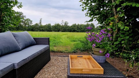 Garden, Balcony/Terrace