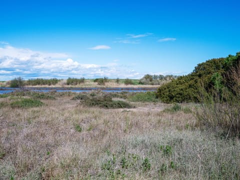 Holiday Home Le bord de l'Etang by Interhome House in Marseillan