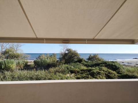 T3 vue mer direct plage clim N79 Apartment in Linguizzetta