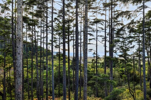 Natural landscape, Sea view