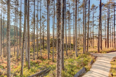 Natural landscape, View (from property/room)