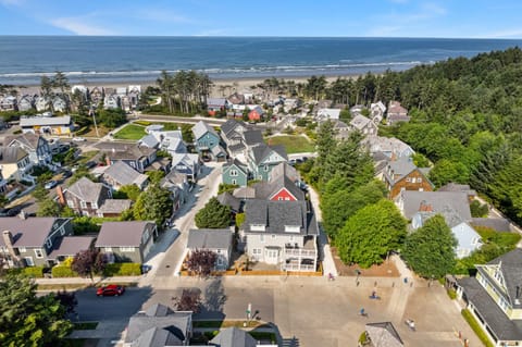 Neighbourhood, Natural landscape, Bird's eye view