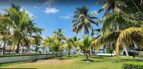 Natural landscape, Garden view, Sea view