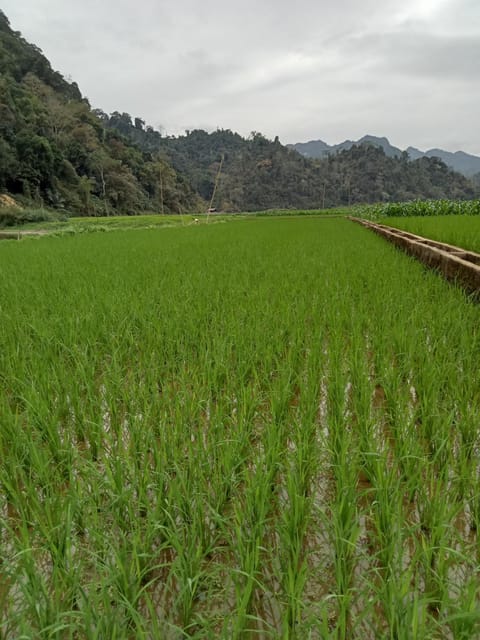 Ba Be Village Homestay Nature lodge in Laos