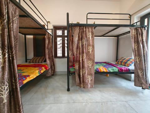 Bed, Photo of the whole room, Bedroom, bunk bed