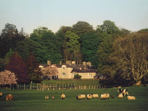 Property building, View (from property/room), On site, Area and facilities