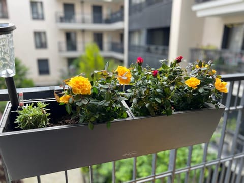 View (from property/room), Balcony/Terrace, Garden view