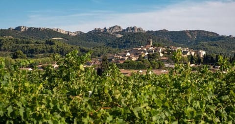 Authentique maison du 17e siècle dans propriété viticole, idéalement située Casa in Sablet