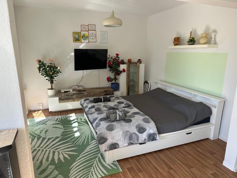 Ruhige sonnige 1,5 Zimmer Wohnung Apartment in Erfurt