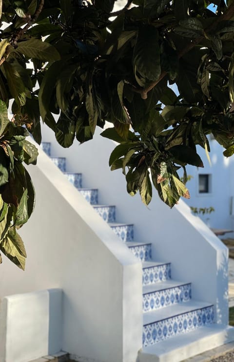 grande maison familiale centre village House in Setúbal, Portugal