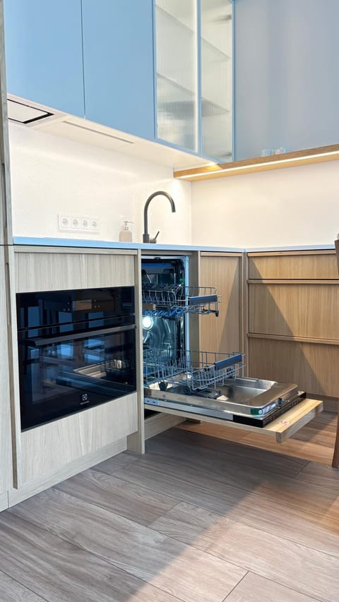 Kitchen or kitchenette, dishwasher