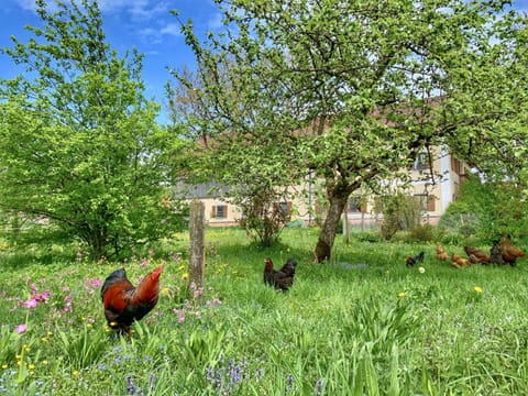 Bauernhof Geigerhof Farm Stay in Aschau im Chiemgau